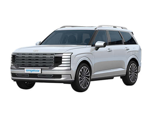 디올뉴 팰리세이드 9인승 4WD 고급 25-26년(휘)