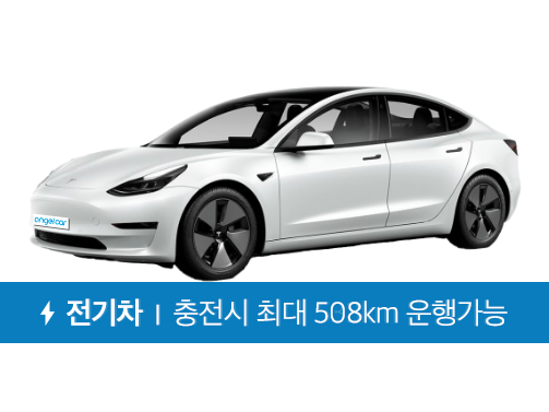 PF 모델3 롱레인지 AWD 22년(EV)